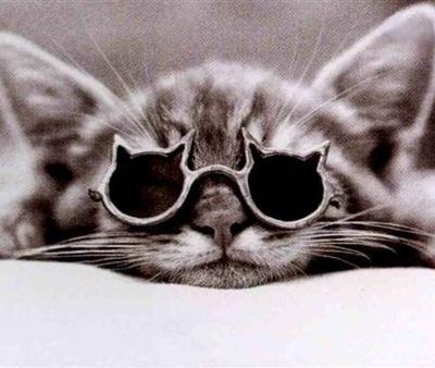 Swap "Ronron & patapon"