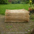 Miscanthus et paillons