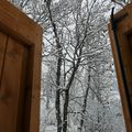Regarder tomber la neige (les vacances, jour 6 - et fin)