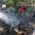 Premier feu de forêt de la saison en Charente-Maritime