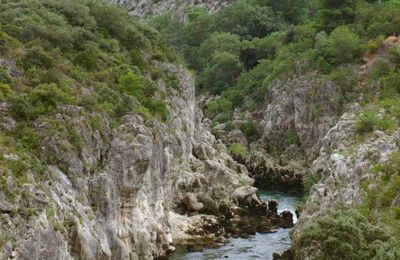 Un pont, une coquille (St Jacques), des aragonites...