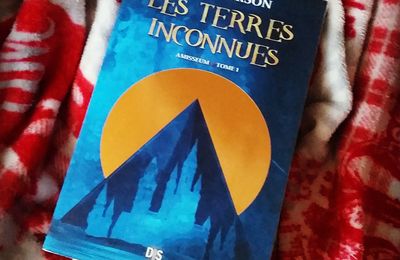 Amisseum , Tome 1 : Les terres inconnues, de Maes Larson