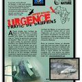 Centre de reproduction de grands dauphins: le projet de la Honte