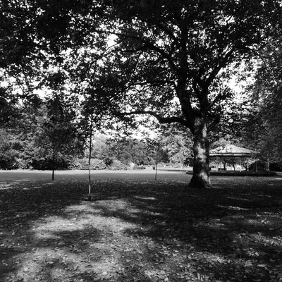 St Stephen's green - Dublin (Irlande)