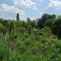 Giverny...un jardin de terre