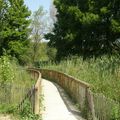 Parc naturel départemental de la Valmasque : sentier de découverte de l'étang de Fontmerle 