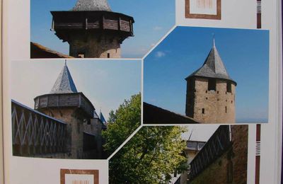 Carcassonne 10 les tours