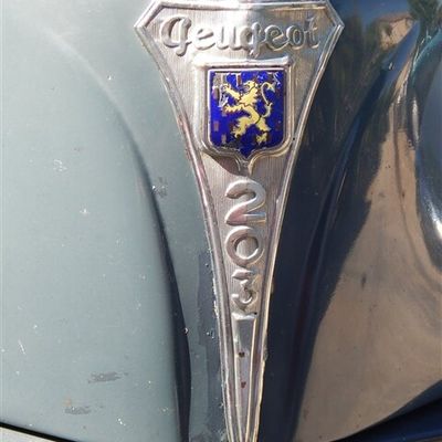 Peugeot 203 du 29 juin 2015