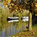 LES BORDS DE L'OISE