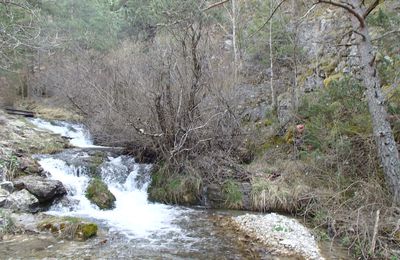 Commune : Allons  : Ravin des Combes (RComb)