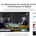 le cri de la mouette