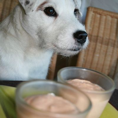 Menu fraîcheur pour grosses chaleurs !