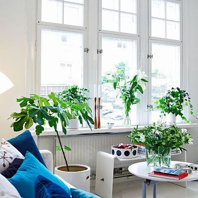 [ FRAICHEUR ET SIMPLICITE ]