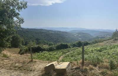 Visite du temple bouddhiste Lerab Ling (Hérault)