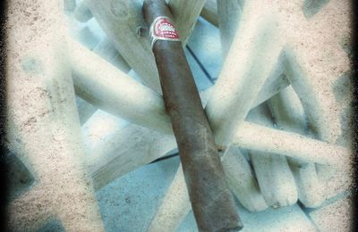 H. Upmann "Majestic"