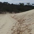 sur la dune du pila :