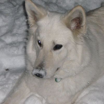 Qui est là?? Le froid, la neige,... Elle s'en