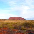 The australian bush, the Uluru, et la culture Aborigène