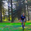 Agréable site boisé pour pratiquer le vélo:le PARC DE PARILLY,situé aux limites de Saint-Priest,Bron et Vénissieux (LYON/RHÔNE)