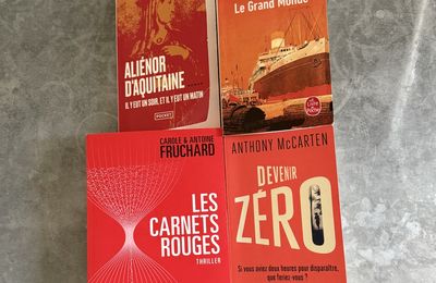 Livres 2025 (4)