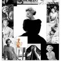 Expo Inoubliable Marilyn du 12/12/14 au 25/02/15