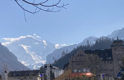 Le temps des fleurs -Le printemps est de retour