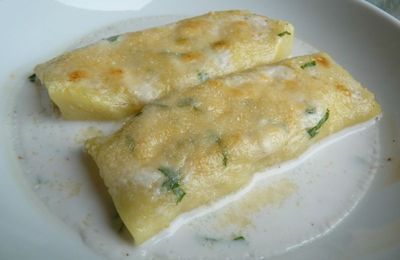 Cannellonis de poisson au lait de coco ou sauce au parmesan 