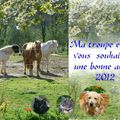 Voeux 2012