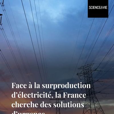 Et c'est eux qui nous prennent pour des gogols