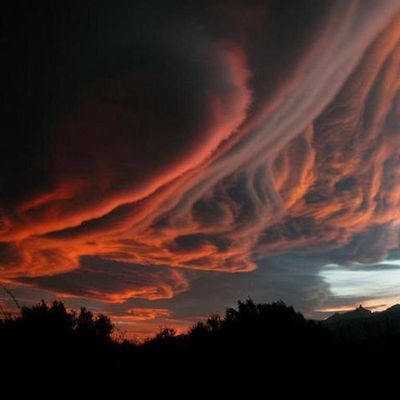 L’IMAGE ET LA PÉDOPHILIE 