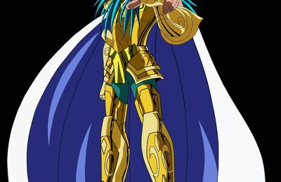 Cosplay tout ce qu'il te plaît ! - Camus chevalier du Verseau (Saint Seiya)