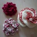 Farandole de fleurs de noël (tricot 13)