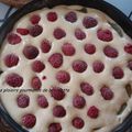 Gâteau trop moelleux rhubarbe et framboises