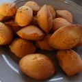 Madeleines
