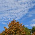 Les nuages, Ils survolent en hâte en se moquant