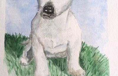 Jack Russel à l'aquarelle