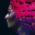 Steven Wilson -Hand Cannot Erase - février 2015