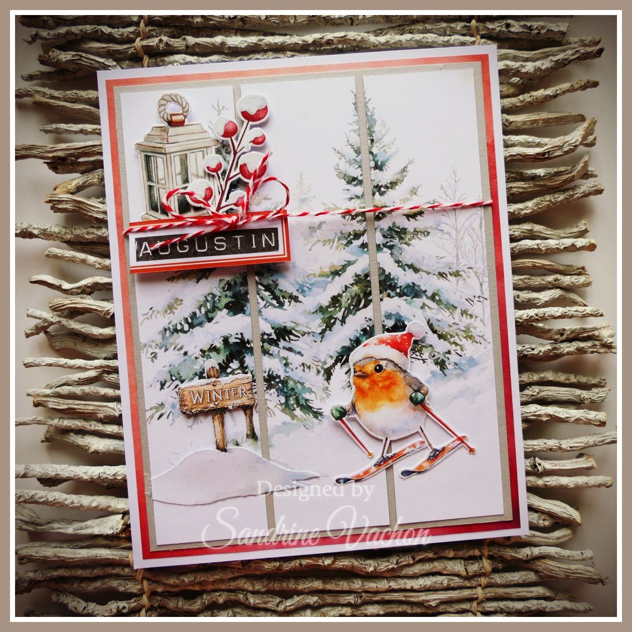 Sandrine VACHON Augustin Février 2025 (1)