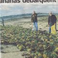 Un parfum d'Antilles en Bretagne