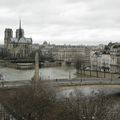 Un peu de rose dans le gris du ciel