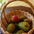 Gâteau/ tarte Marie- Christine à la mangue