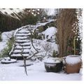 mon jardin sous la neige 