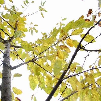 :: Elle m'a trouvé ::