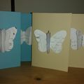 Des papillons sur mes cartes de voeux 