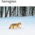 Sortie en poche de "Sauvagines", Gabrielle Filteau-Chiba