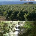 Ardèche, terre des contrastes... Vin et eau. Vues diverses.