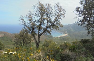 MONT DE L'EDOUGH-ANNABA-ALGERIE/VACANCES