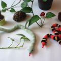 Un serpent au crochet