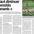 Grippe aviaire