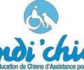 Handi’Chiens reconnue d’utilité publique par décret du 7 mars 2012